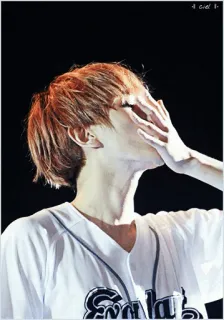 🐚 47fc8f61 whatsapp sticker