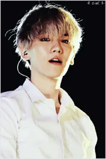 🐚 a8370e59 whatsapp sticker