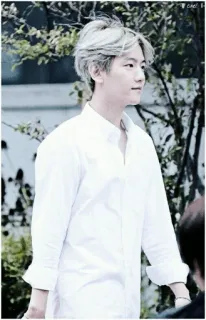 🐚 a8b714ab whatsapp sticker