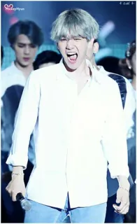 🐚 e0bfe951 whatsapp sticker