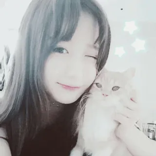 🥕 4f102c47 phụ nữ, mèo, thú cưng, dễ thương, chân dung, cô gái, vật nuôi whatsapp sticker