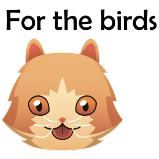 🐱 905235b0 For the birds chat, animal, drôle, mignon, expression, mème, oiseaux whatsapp sticker