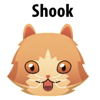 🐱 ccb8133c chat, animal, animal de compagnie, mignon, autocollant whatsapp sticker