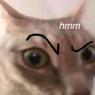 😏 47229800 hmm 猫 (māo), 嗯 (ēn), 表情包 (biǎoqíng bāo), 宠物 (chǒngwù), 动物 (dòngwù) telegram sticker