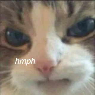 😒 7fe4a73b hmph 猫, 哼, 搞笑, 动物, 表情包, 表情 telegram sticker