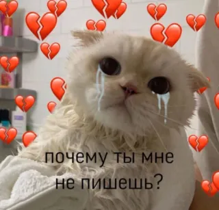 💔 17883e38 почему ты мне не пишешь? cat, sad, cry, broken heart, kitten, animal whatsapp sticker