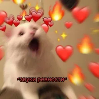 🤯 269fc77e звуки ревности cat, hearts, flames, meme, jealousy whatsapp sticker