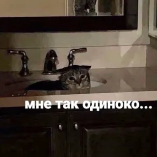 💔 7c912f30 мне так одиноко... cat, sink, lonely, sad, bathroom whatsapp sticker