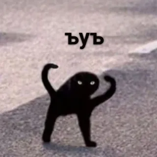 😾 b0a6677e ъуъ cat, meme, black cat, aggressive, cursed whatsapp sticker