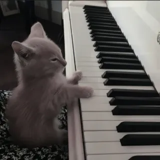 🍄 b46c54ff kat, kitten, piano, muziek, spelen telegram sticker