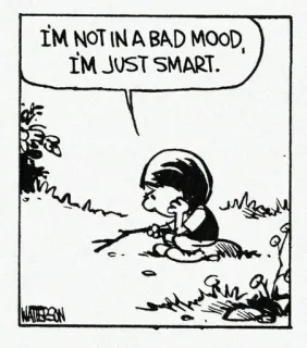 😖 89cfc19c I'M NOT IN A BAD MOOD, I'M JUST SMART. cartoon, comic, smart, mood, funny, statement whatsapp sticker