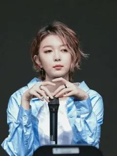 🌸 c295c6ff женщина, портрет, микрофон, человек, певец, художник telegram sticker