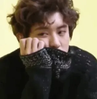 🌻 19a906d4 whatsapp sticker