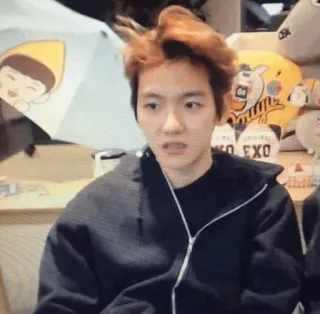 🌻 504bb243 whatsapp sticker