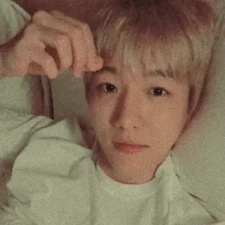 🌻 a6f6f7da whatsapp sticker