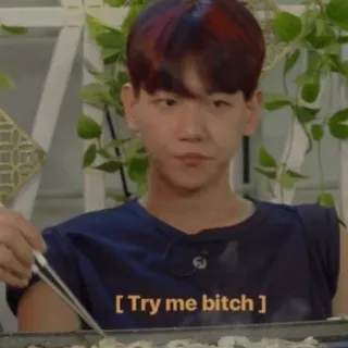 🌻 b03a1b7a Try me bitch Meme, Ofensif, Tantangan, Korea whatsapp sticker
