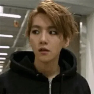 🌻 dc4cfac7 whatsapp sticker