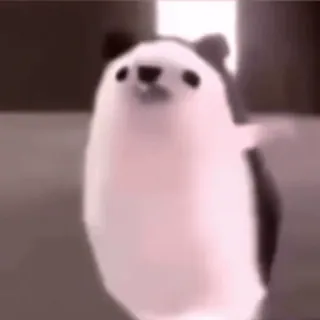 🍁 3e262624 动物, 可爱, 熊猫, 贴纸 telegram sticker