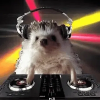 CUTE HEDGEHOG :: @fStikBot telegram stickers