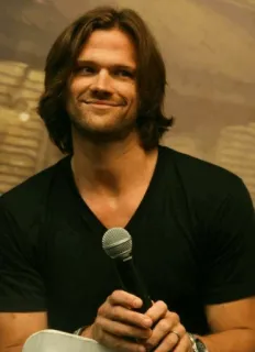 😊 ffa86619 Jared Padalecki Supernatural diễn viên, người đàn ông, micrô, hội nghị, người nổi tiếng telegram sticker