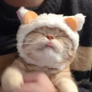 kets telegram stickers