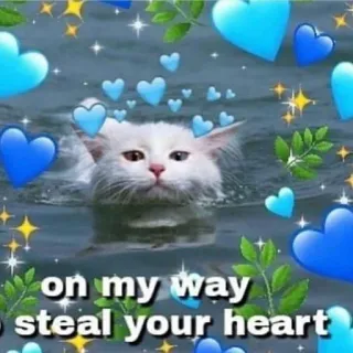 🩹 021779b5 on my way to steal your heart gato, corações, fofo, nadando, romântico telegram sticker