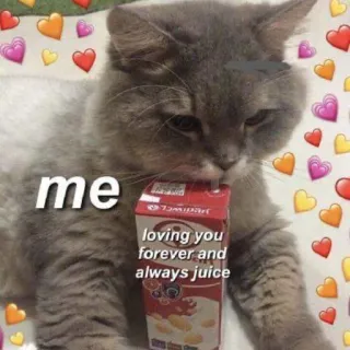 🩰 10eb5f2b me loving you forever and always juice gato, suco, amor, corações, fofo, meme telegram sticker