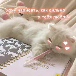 🩹 11e1dfc8 хочу написать, как сильно я тебя люблю gato, amor, caneta, diário, fofo telegram sticker