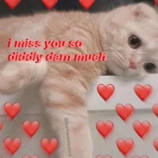 🩰 323a529b i miss you so diddly dam much gato, saudades, corações, fofo, amor, diddly telegram sticker