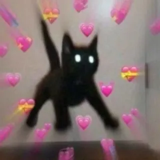 🩹 3d4ee982 gato, corações, amor, fofo, animal telegram sticker