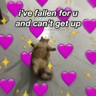 🩰 44e81977 I've fallen for u and can't get up gato, amor, coração, meme, adorável telegram sticker