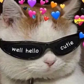 🩰 4d87b159 well hello cutie gato, corações, óculos de sol, fofo, animal telegram sticker