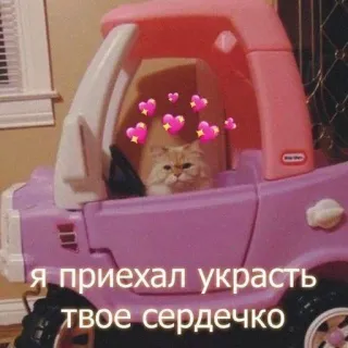 🩰 5376bcab Я приехал украсть твое сердечко gato, corações, carro, fofo, russo telegram sticker