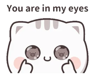 ❤️ 47141d05 You are in my eyes แมว, น่ารัก, หมู, สัตว์, นิ้วกลาง, หยาบคาย telegram sticker