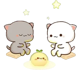 ❤️ 1906f488 cute, cats, animals, kawaii, stars telegram sticker