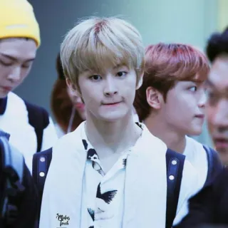 🍒 d69ca64f telegram sticker