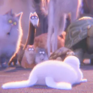 🐰 21c46a24 telegram sticker