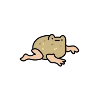 🖐 99da975d rã, engraçado, meme, animal, desenho animado, criatura, humor telegram sticker