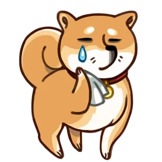 😢 8ad47d16 犬, 泣く, 悲しい, 動物, 可愛い, 柴犬, ペット whatsapp sticker
