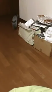 💞 cf72eacf telegram sticker