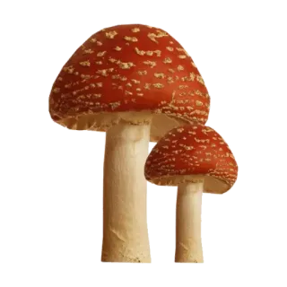 🍄 35f6b18d mushroom, fungi, amanita, toadstool, forest, nature, plant whatsapp sticker