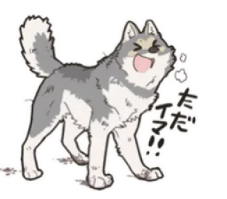 😝 35d667b5 ただいま pies, zwierzę, pozdrowienie, wilk, kreskówka telegram sticker