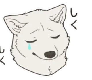 😰 86cb3f58 しくしく pies, smutny, płaczący, zwierzę, naklejka, emocje telegram sticker