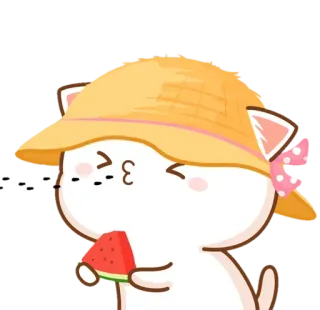 🍉 b5c0641f Katze, Wassermelone, Hut, süß telegram sticker