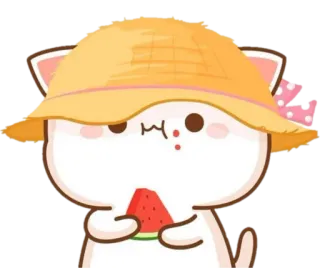 🍬 594a9df1 кот, арбуз, шляпа, милый, каваий, мультфильм whatsapp sticker