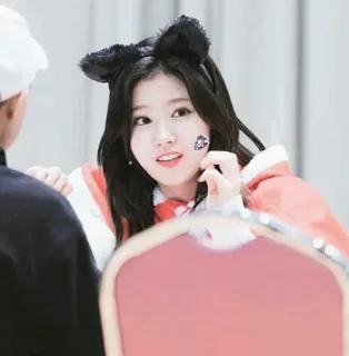 🐹 07356091 telegram sticker