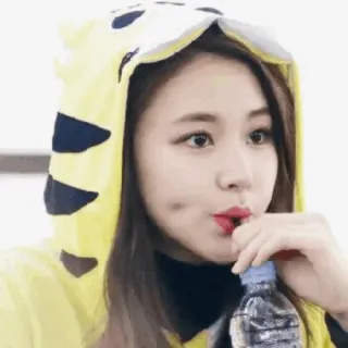 🐯 16860b8c 여자, 호랑이, 후드티, 마시는, 귀여운, 동물 코스튬 telegram sticker