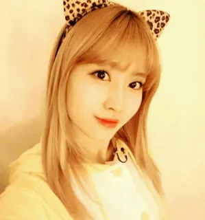 🐤 3e052d16 여자, 소녀, 귀여운, 초상화, 표범 귀, 노란색 telegram sticker