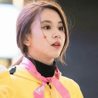 🐯 552b6c69 telegram sticker