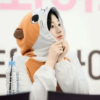 🐹 63299b43 telegram sticker